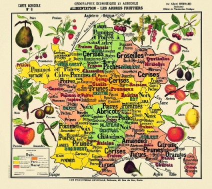 map of food