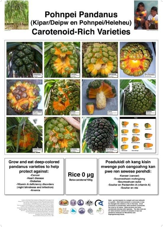 New pandanus poster from Pohnpei – Agricultural Biodiversity Weblog