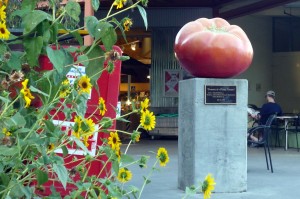 tomato statue in Davis, California, USA