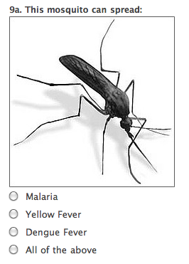 Questionable Mosquito