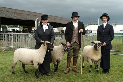 Shropshire sheep breeders