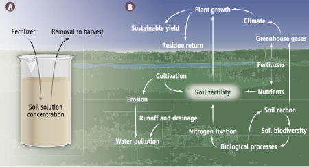 soil-fertility