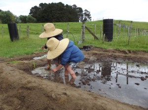 5 Planting Rice 012[7]