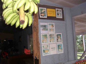 banana store