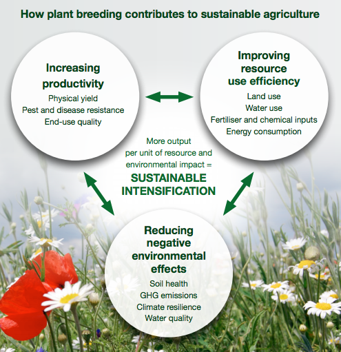 Plant Breeding For Sustainable Agriculture Agricultural Biodiversity 