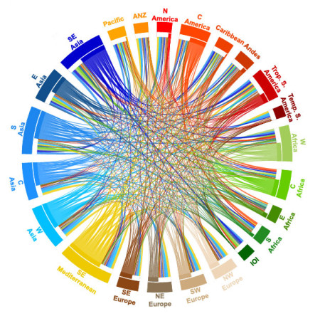 Regional-interdependence-calories