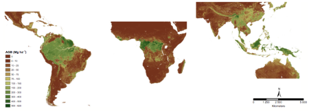 "We combined two existing datasets of vegetation aboveground biomass (AGB) (Proceedings of the National Academy of Sciences of the United States of America, 108, 2011, 9899; Nature Climate Change, 2, 2012, 182) into a pan-tropical AGB map at 1-km resolution ."