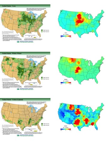 crops in USA