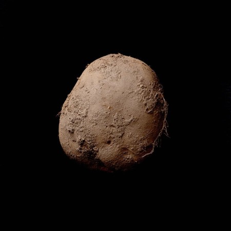 Potato #345 (2010), by Kevin Abosch.