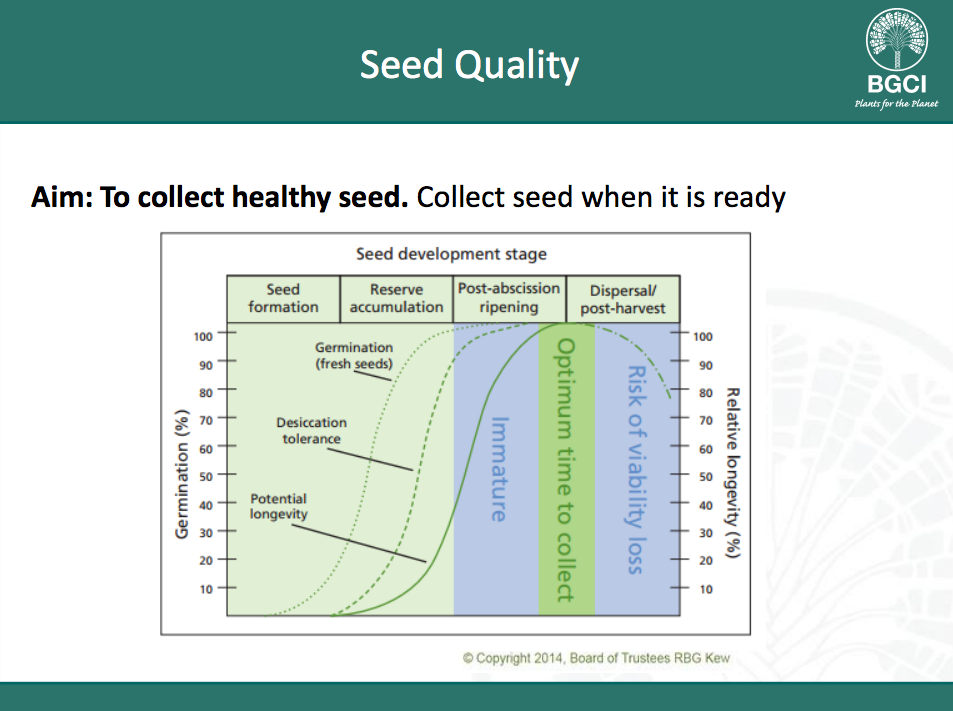 Seed Banking Resources – Agricultural Biodiversity Weblog