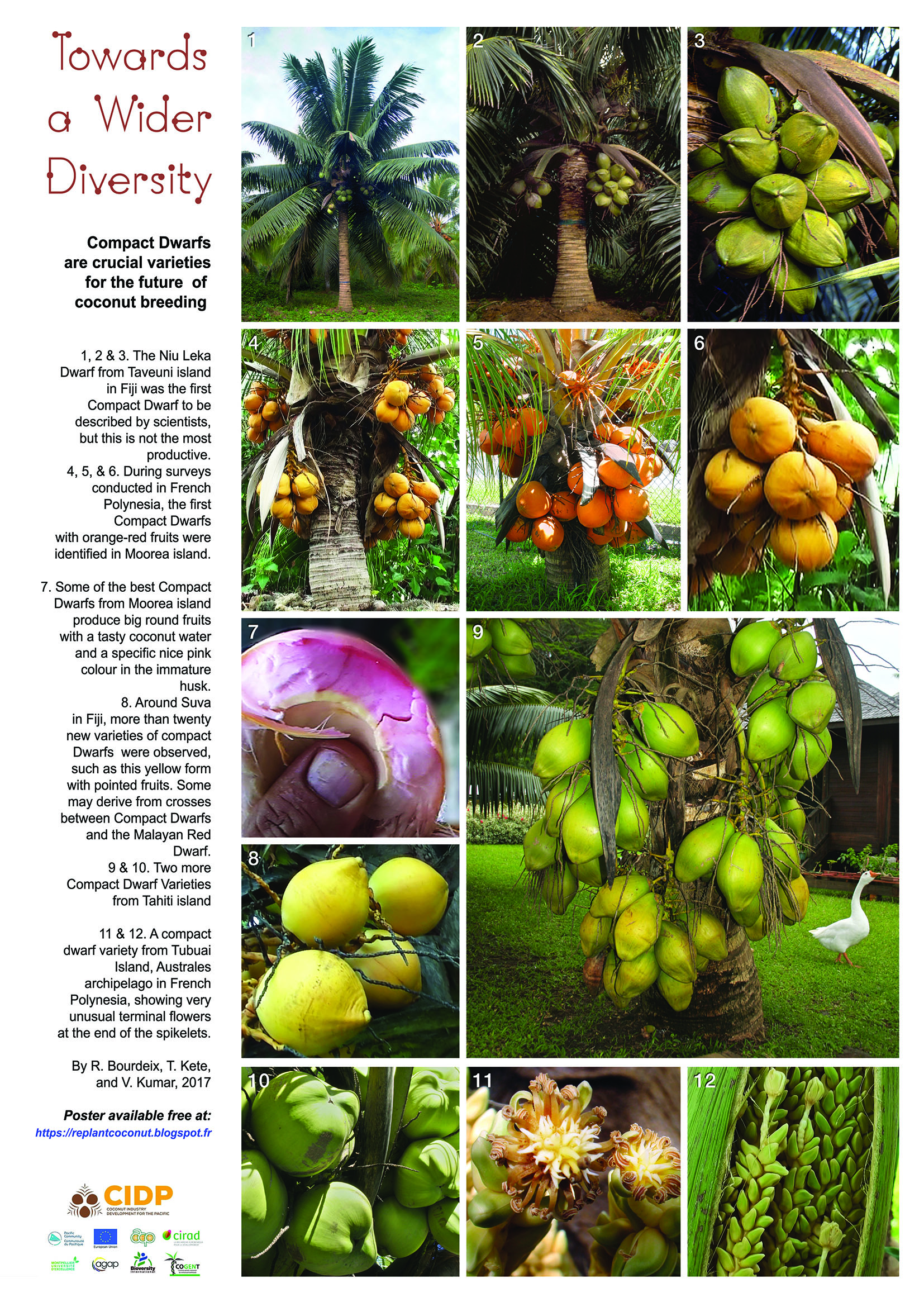 Cool coconut diversity posters Agricultural Biodiversity log