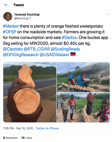 Tweet about orange-fleshed sweetpotato with images