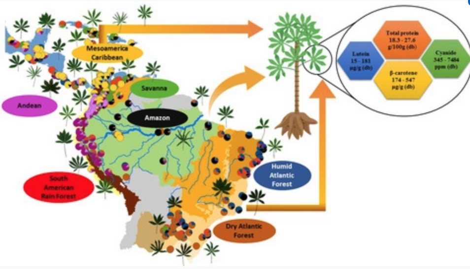 Rooting For Consumers Agricultural Biodiversity Weblog