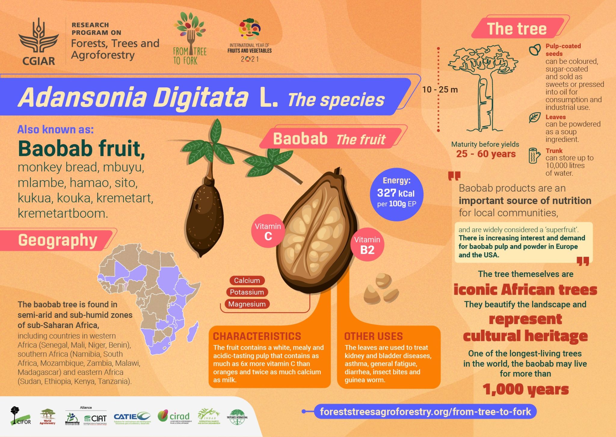The baobab infographic we’ve been waiting for Agricultural