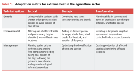 Beat the heat with seeds
